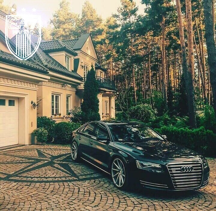 ea7music豪车组图