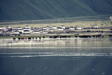 o-130.jpg
