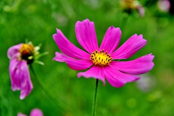 DSC_0048kk.jpg