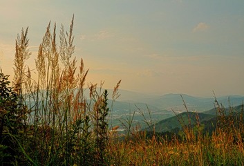 DSC_0078.jpg