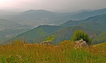 DSC_0072.jpg