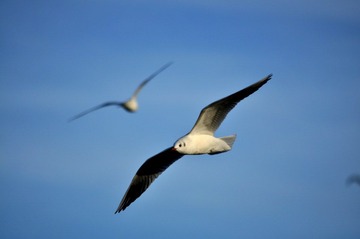 DSC_0175.jpg
