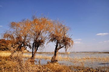 DSC_0047_01.JPG
