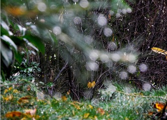 DSCN1060.jpg