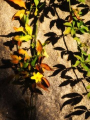 DSCN1540.jpg