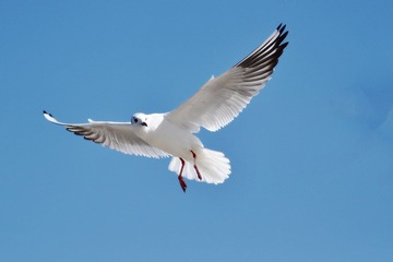 DSC_0067.jpg