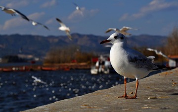 DSC_0130.jpg