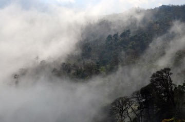 DSC_0275.jpg