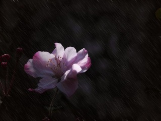 DSCN2662.jpg