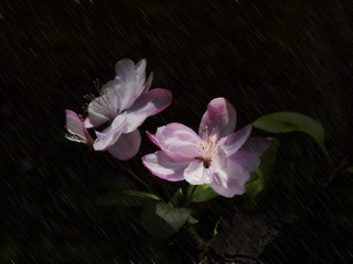 DSCN2671.jpg