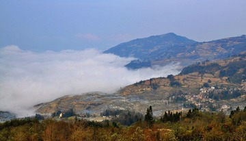 DSC_0259.jpg