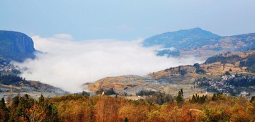 DSC_0262.jpg