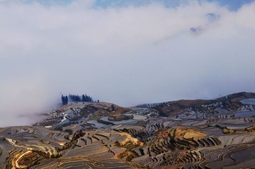 DSC_0200.jpg