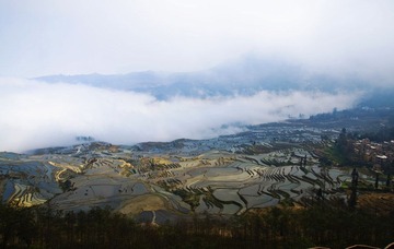 DSC_0210.jpg