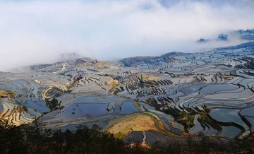 DSC_0213.jpg