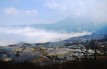 DSC_0215.jpg