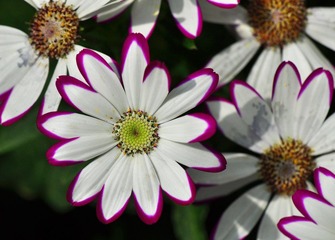 DSC_0067.jpg