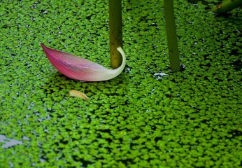 DSC_0249.jpg