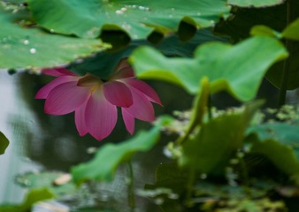 DSC_0289.jpg