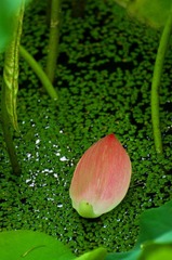 DSC_0305.jpg