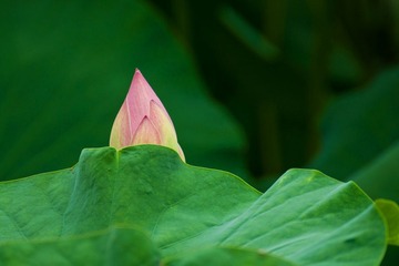 DSC_0004.jpg