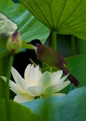 DSC_0110.jpg