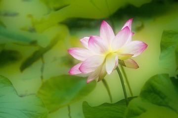 DSC_0172.jpg