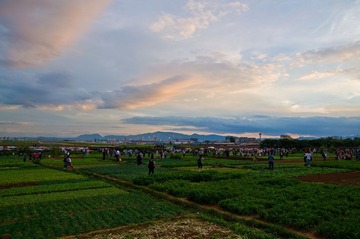 DSC_0062.jpg