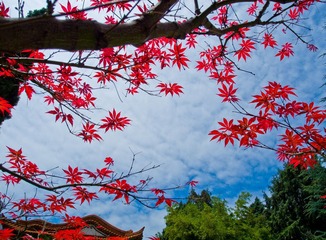 DSCN4771.jpg