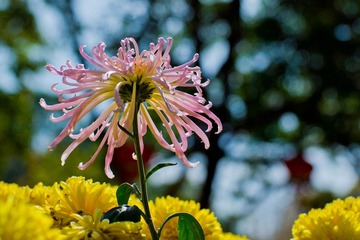DSC_0192.jpg