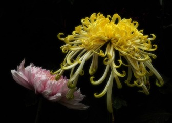 DSCN4929.jpg