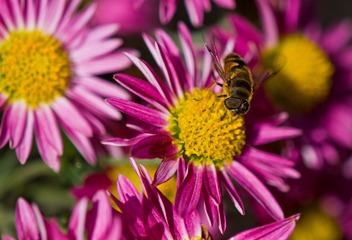 DSC_0152.jpg