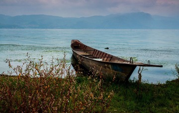 “DSC_0422.jpg
