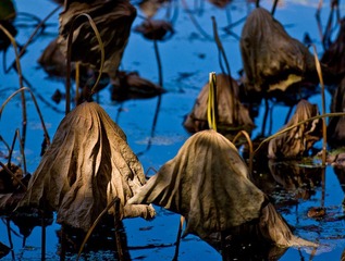 DSC_0107.jpg