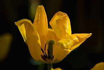 DSC_0266.jpg