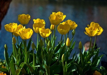 DSC_0227.jpg