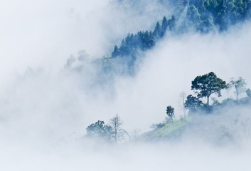 DSC_0214.jpg