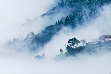 DSC_0213.jpg