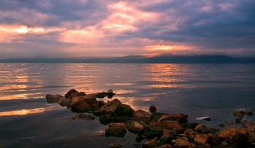 DSC_0204.jpg