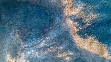 2974511