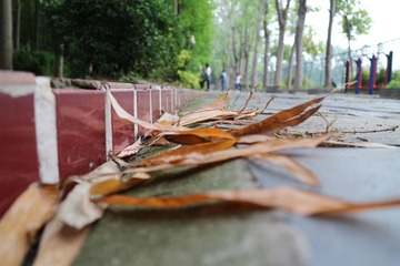 IMG_0013-1