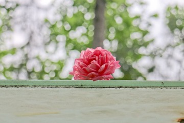 IMG_0022-1