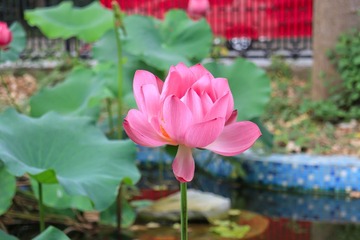 IMG_6722-1