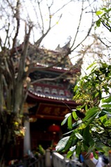 陪衬
