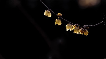 _MG_7647_1