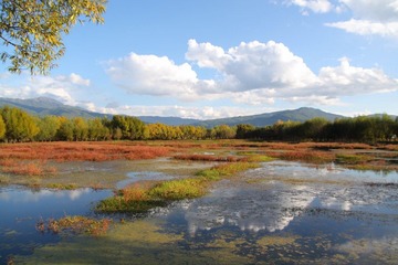 IMG_4116.JPG