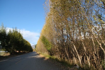 IMG_4120.JPG