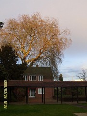 An Afternoo in Reading