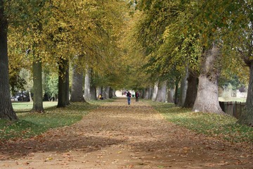 Oxford