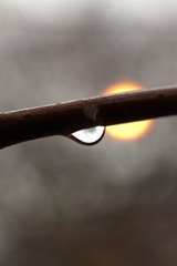 a water drop